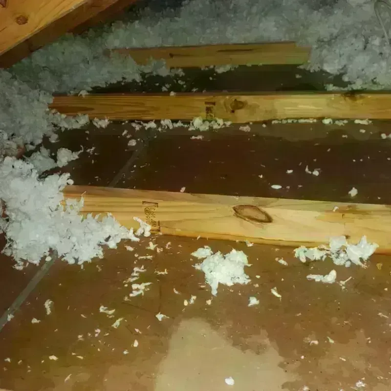 Attic Water Damage in Clearview, WA